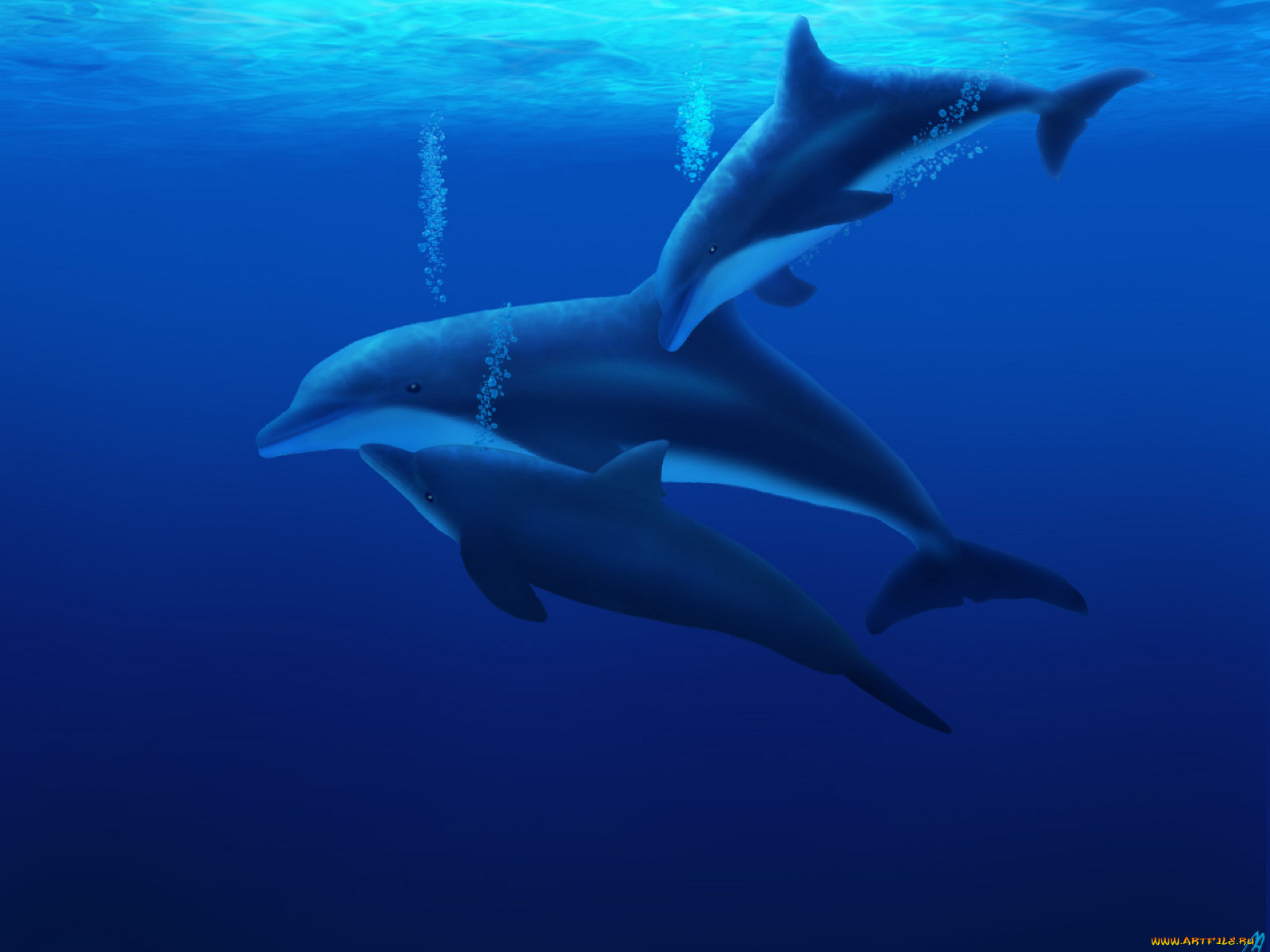 3, , sea, undersea, , 